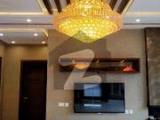 12 Marla Lower Portion for Office Use | 2 Bed | G Block... 12 Marla Lower Portion for Office Use | 2 Bed | G Block...