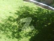 12 Marla Used House In Military Account Housing Society...