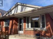 12 Raywood