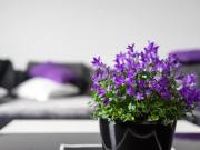 12 Schlafzimmer Haus Hagen Deutschland 95048504