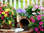 12 Schlafzimmer Haus Hildesheim Deutschland 100091688