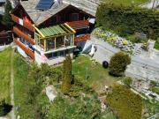 12 Zimmer Doppeleinfamilienhaus