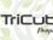 1304 Sqft Plot For Sale in Annur, Coimbatore