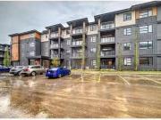 1311 55 Lucus Way Nw, Calgary, AB, T3P 2C7 house for lease.