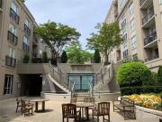 1315 East Boulevard unit: 531, 531, Charlotte, NC 28203