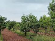 131 Sq.Yd. Plot in Vijayawada Highway Hyderabad Listing...