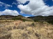 132 hectareas de oportunidad de inversión. Rancho &apos...