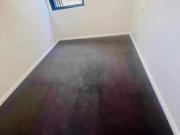 134A O'Riordan St, Sydney