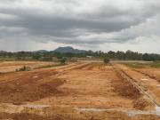 1350 Sq.Ft. Plot in Otthakadai Madurai