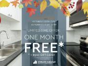 135 Connaught Avenue & 543 Mornington Avenue