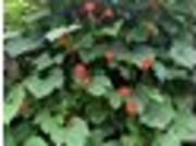 1377 Wrightsboro Rd, Augusta, GA 30901 [Updated 11/]