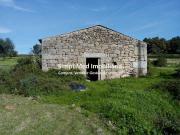 13 HECTARES EM CASTANHEIRA DE BAIXO CF