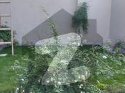 13 Marla Beautiful House Newly Constructed For Rent Bani...