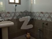 13 Marla Independent Single Storey House For Rent In...