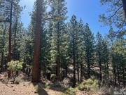 140 Walton Toll Rd, Unit 179, Carson City, NV 89705 |...