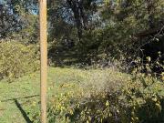 1421 E Ann Arbor Avenue