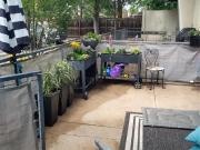 1421 Oneida Street # 3
