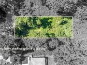 1427 Andrews St NW, Atlanta, GA 30314