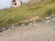 1440 Sq.Ft. Plot in New Town Kolkata Listing ID #9350