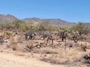 14454 S EZRA PL, TUCSON, AZ 85736