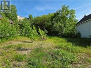 144 Mountain Street, Sudbury, ON, P3B 2R2 vacant land...
