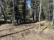 1451 El Camino Real, Angel Fire, NM 87710