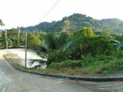 145 SQM Corner Subdivision Lot for Sale in Cebu City...