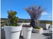 146/217 Northbourne Avenue, Turner ACT 2612 Apartment...