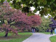 146 qm AB 01.02.26 frei, Hohe Decken, Toller Schnitt,...