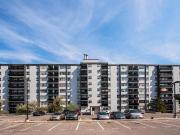 1485 Williamsport Drive 1 Bedroom Apartment for Rent at...