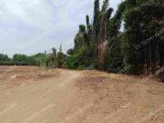 14,000 Metros cuadrados en Venta Huaral