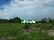 14,323 sqm Commercial/Industrial Lot for Sale Taguig City