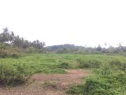14.4 hectares Residential Farm For Sale in Siargao...