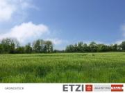 14 Grundstücke in Taufkirchen/Pram: Jetzt Haus inkl....