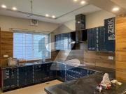 14 Marla 40x80 Brand New First Entry Basement Portion... 14 Marla 40x80 Brand New First Entry Basement Portion...