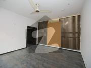 14 Marla Beautiful House With Basement For Rent DHA Raya...