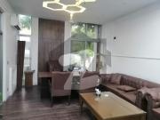 14 Marla Semi Commercial House For Rent In Gulberg Ideal...