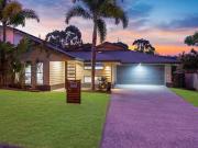 14 Wright Court, Upper Coomera, QLD 4209