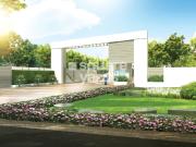 1500 Sq.Ft. Plot in Hoskote Bangalore Listing ID #8854