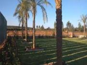 1500 Sq Ft Residential Plot In Peram ECO CITY, Hoskote,...