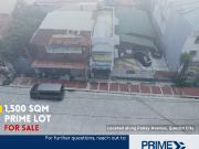 1500 square meters Commercial Property Along Panay...