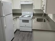 1505 Alvarado 2 Bedroom Apartment for Rent at 1505...