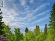 1505 John Street Road