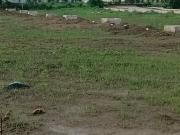 1505 Sq.Ft. Plot in Shankarpur Nagpur Listing ID #8668