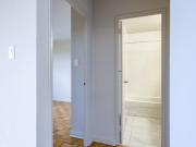 150 Culford Rd Studio Apartment for Rent at 150 Culford...