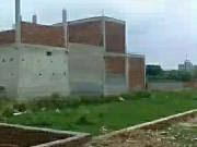 150 Sq.Yd. Plot in Aghapur Noida Listing ID #8827