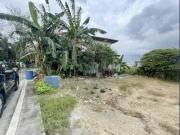 150 sqm Vacant lot in Greenwoods Executive Village,...
