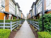 151 8473 STREET, Surrey, BC V4N 6M7 Townhouse For Sale |...