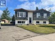 151 Valleyview Crescent, Tumbler Ridge, BC, V0C 2W0...