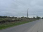 155 y 76 La Plata